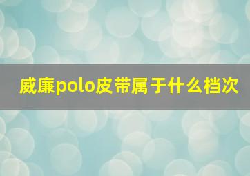 威廉polo皮带属于什么档次