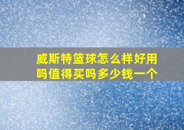 威斯特篮球怎么样好用吗值得买吗多少钱一个