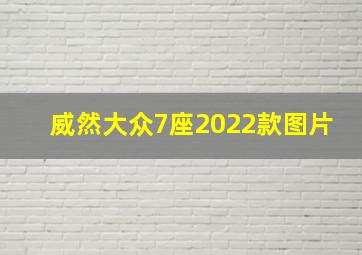 威然大众7座2022款图片