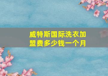 威特斯国际洗衣加盟费多少钱一个月