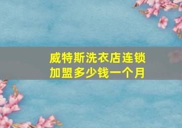 威特斯洗衣店连锁加盟多少钱一个月