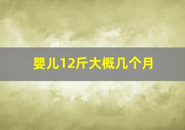 婴儿12斤大概几个月