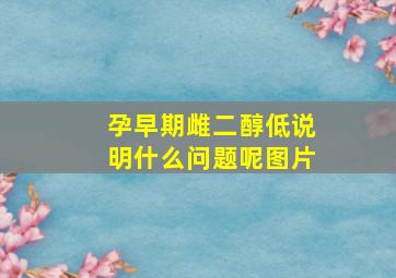 孕早期雌二醇低说明什么问题呢图片