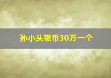 孙小头银币30万一个