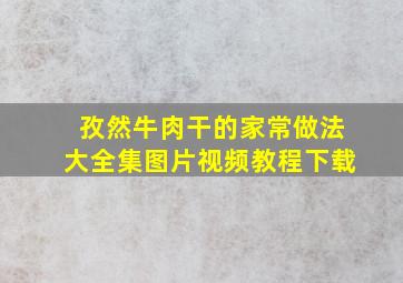 孜然牛肉干的家常做法大全集图片视频教程下载