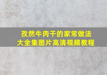 孜然牛肉干的家常做法大全集图片高清视频教程