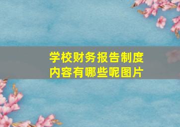 学校财务报告制度内容有哪些呢图片