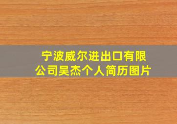 宁波威尔进出口有限公司吴杰个人简历图片