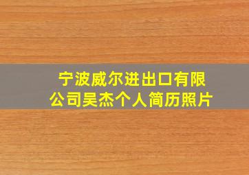 宁波威尔进出口有限公司吴杰个人简历照片