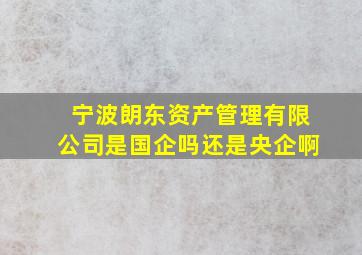 宁波朗东资产管理有限公司是国企吗还是央企啊