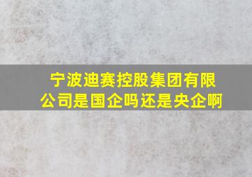 宁波迪赛控股集团有限公司是国企吗还是央企啊