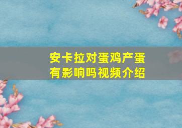 安卡拉对蛋鸡产蛋有影响吗视频介绍