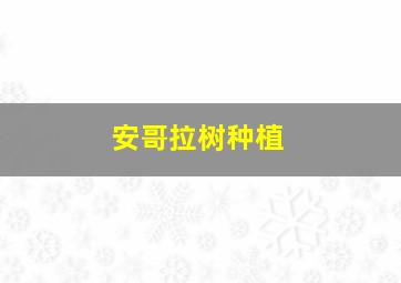 安哥拉树种植