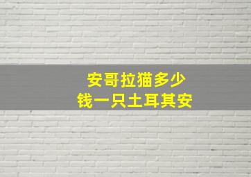 安哥拉猫多少钱一只土耳其安