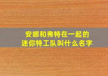 安娜和弗特在一起的迷你特工队叫什么名字