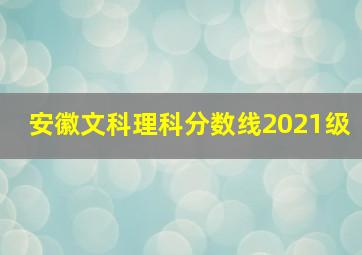 安徽文科理科分数线2021级