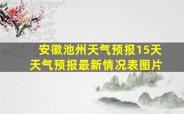 安徽池州天气预报15天天气预报最新情况表图片