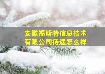 安徽福斯特信息技术有限公司待遇怎么样