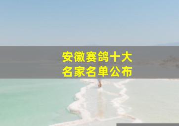 安徽赛鸽十大名家名单公布