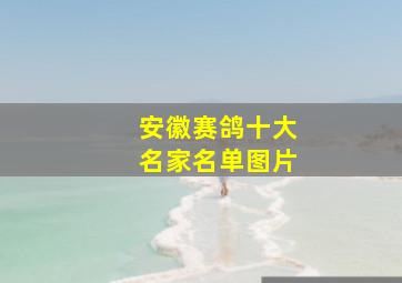 安徽赛鸽十大名家名单图片