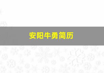 安阳牛勇简历