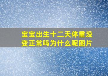 宝宝出生十二天体重没变正常吗为什么呢图片