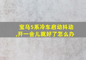 宝马5系冷车启动抖动,开一会儿就好了怎么办