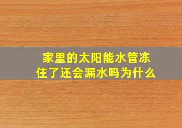 家里的太阳能水管冻住了还会漏水吗为什么