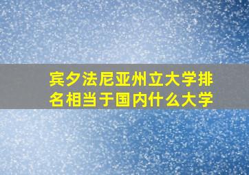 宾夕法尼亚州立大学排名相当于国内什么大学