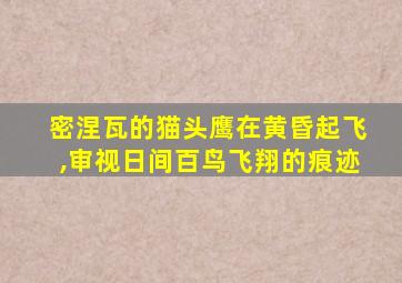 密涅瓦的猫头鹰在黄昏起飞,审视日间百鸟飞翔的痕迹