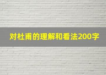 对杜甫的理解和看法200字