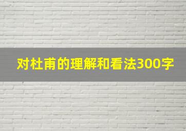 对杜甫的理解和看法300字