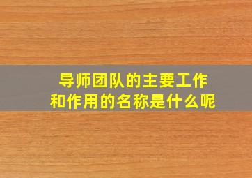 导师团队的主要工作和作用的名称是什么呢