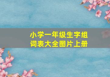 小学一年级生字组词表大全图片上册