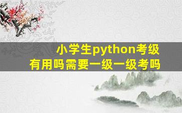 小学生python考级有用吗需要一级一级考吗