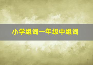 小学组词一年级中组词