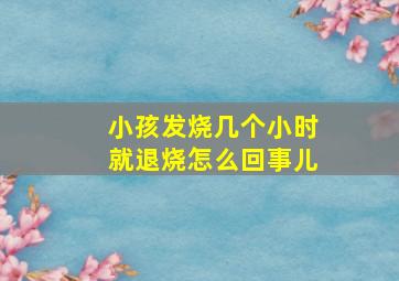 小孩发烧几个小时就退烧怎么回事儿