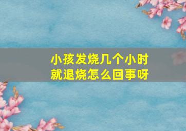 小孩发烧几个小时就退烧怎么回事呀