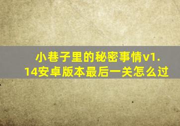 小巷子里的秘密事情v1.14安卓版本最后一关怎么过