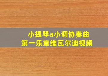 小提琴a小调协奏曲第一乐章维瓦尔迪视频