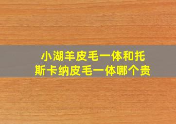 小湖羊皮毛一体和托斯卡纳皮毛一体哪个贵