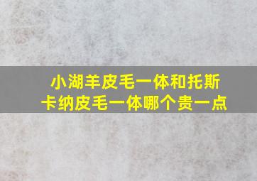 小湖羊皮毛一体和托斯卡纳皮毛一体哪个贵一点