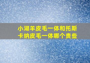 小湖羊皮毛一体和托斯卡纳皮毛一体哪个贵些