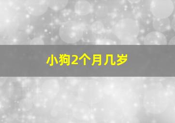 小狗2个月几岁