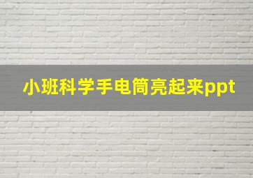 小班科学手电筒亮起来ppt