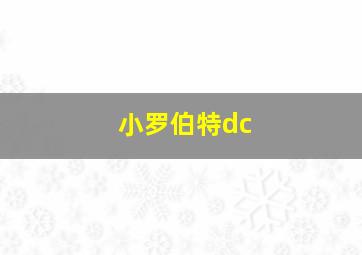 小罗伯特dc