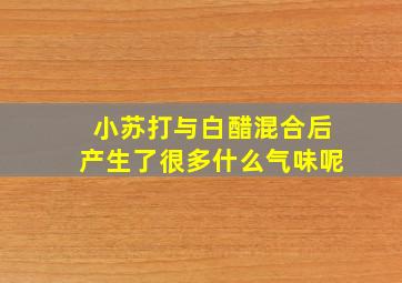 小苏打与白醋混合后产生了很多什么气味呢