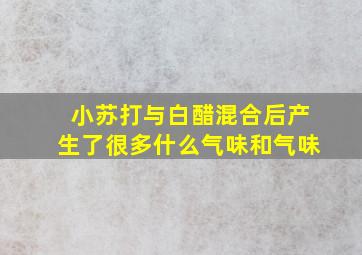 小苏打与白醋混合后产生了很多什么气味和气味