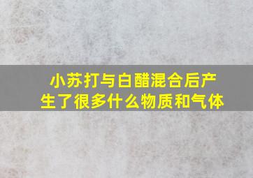 小苏打与白醋混合后产生了很多什么物质和气体