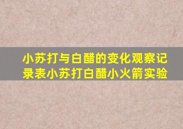 小苏打与白醋的变化观察记录表小苏打白醋小火箭实验